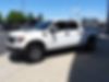 1FTFW1R64BFD31900-2011-ford-f150-2