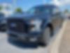 1FTEW1CPXGFC25732-2016-ford-f-150-0