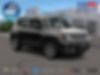 ZACNJBBB4LPL50921-2020-jeep-renegade-0