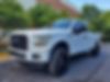 1FTEX1EP8HFA23189-2017-ford-f-150-2