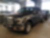 1FTEW1E86HKC08621-2017-ford-f-150