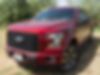 1FTEW1EGXGKF81313-2016-ford-f-150