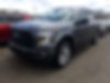 1FTEW1EP5HFC00784-2017-ford-f-150-0