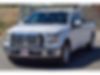 1FTEW1CG1GFB29391-2016-ford-f-150-2