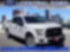 1FTEW1CP8GKE46110-2016-ford-f-150