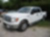 1FTFW1CT8CFC96620-2012-ford-f-150-0