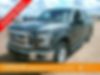 1FTEW1EP8GFA92367-2016-ford-f-150-0