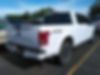 1FTEW1EP7HFC20731-2017-ford-f-150-1