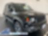 ZACNJBABXLPL69149-2020-jeep-renegade-0