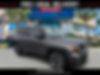 ZACNJABB6LPL65219-2020-jeep-renegade-0