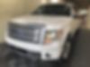 1FTFW1ET5DFD55542-2013-ford-f-150-0