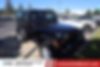1J4FA49S53P310217-2003-jeep-wrangler