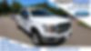1FTEW1E46KFA21070-2019-ford-f-series-0