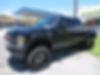 1FTSW21R99EA79958-2009-ford-f250-0