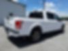1FTEW1CP8GFB61609-2016-ford-f-150-2