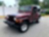 1J4FA59S43P339357-2003-jeep-wrangler-0