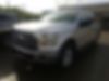 1FTEW1EP0HFB64275-2017-ford-f-150-0