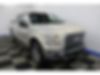 1FTEW1EP9HFC44111-2017-ford-f-150-1