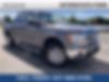 1FTFW1ET9DFD97549-2013-ford-f-150-0