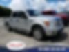 1FTFW1CF7DFB79526-2013-ford-f-150