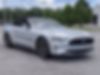 1FATP8UH1K5170581-2019-ford-mustang-2