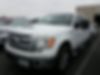 1FTFW1ET3DFC01038-2013-ford-f-150-0