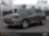 1C4PJMDN0LD612575-2020-jeep-cherokee-2