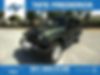 1J4HA5H17BL612704-2011-jeep-wrangler-unlimited
