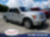 1FTFW1CF7DFB79526-2013-ford-f-150-0
