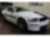 1ZVHT82H495106296-2009-ford-mustang-0