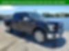 1FTEW1CF5GFA22027-2016-ford-f-150-0