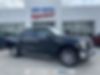 1FTEW1EF4GFD01899-2016-ford-f-150-0
