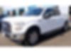1FTEW1EP2HKD18959-2017-ford-f-150-0