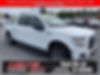 1FTEW1EP2HFC08437-2017-ford-f-150-0