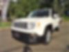 ZACCJADT2GPD50240-2016-jeep-renegade-1