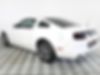 1ZVBP8AM7D5250183-2013-ford-mustang-1