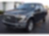 1FTEW1EF0GFB59258-2016-ford-f-150-1