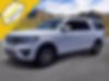 1FMJK1HT3KEA36172-2019-ford-expedition