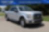1FTEW1EP6HFC44213-2017-ford-f-150-0