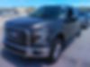 1FTEW1EP2HFB19256-2017-ford-f-150-0
