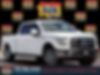 1FTEW1CP4GKE11869-2016-ford-f-150-0