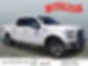 1FTEW1EF9FKD86437-2015-ford-f-150-0