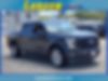 1FTEW1EP9HFC40981-2017-ford-f-150-0