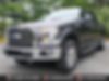 1FTEW1EP0GFC57862-2016-ford-f-150-0