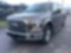 1FTEW1CP4GKE12651-2016-ford-f-150-0
