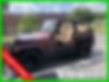 1J4FA49S72P772048-2002-jeep-wrangler