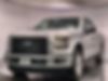 1FTEW1CPXHKE20979-2017-ford-f-150-0