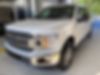 1FTEW1EP6KFB32972-2019-ford-f-150-1