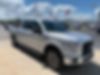 1FTEW1EP0HFB75535-2017-ford-f-150-0