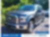 1FTEW1EP7HFC14301-2017-ford-f-150-0
